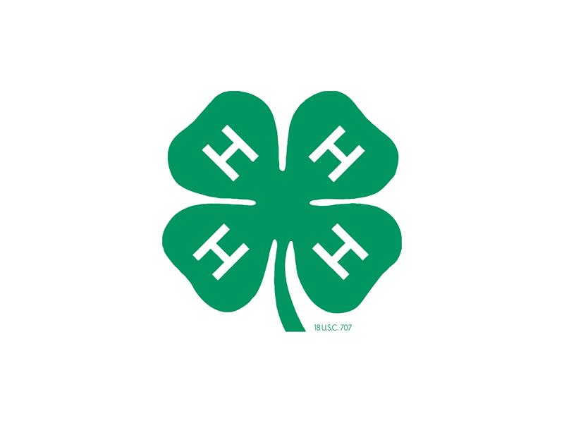 Fair Logo